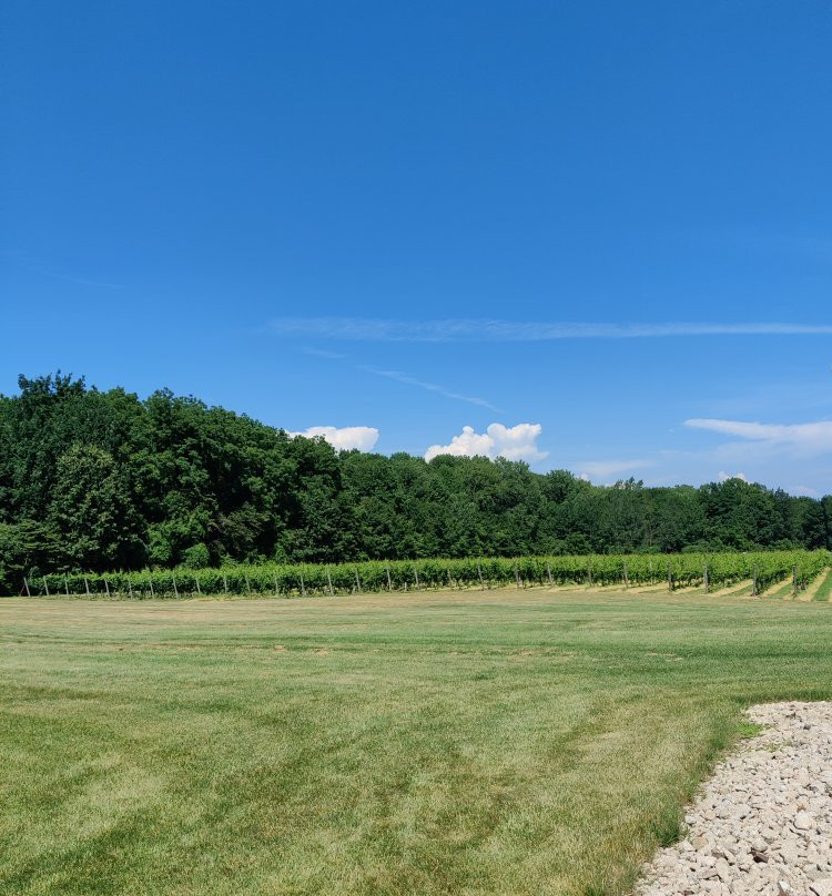 12 Corners Vineyards-Benton Harbor必去景点