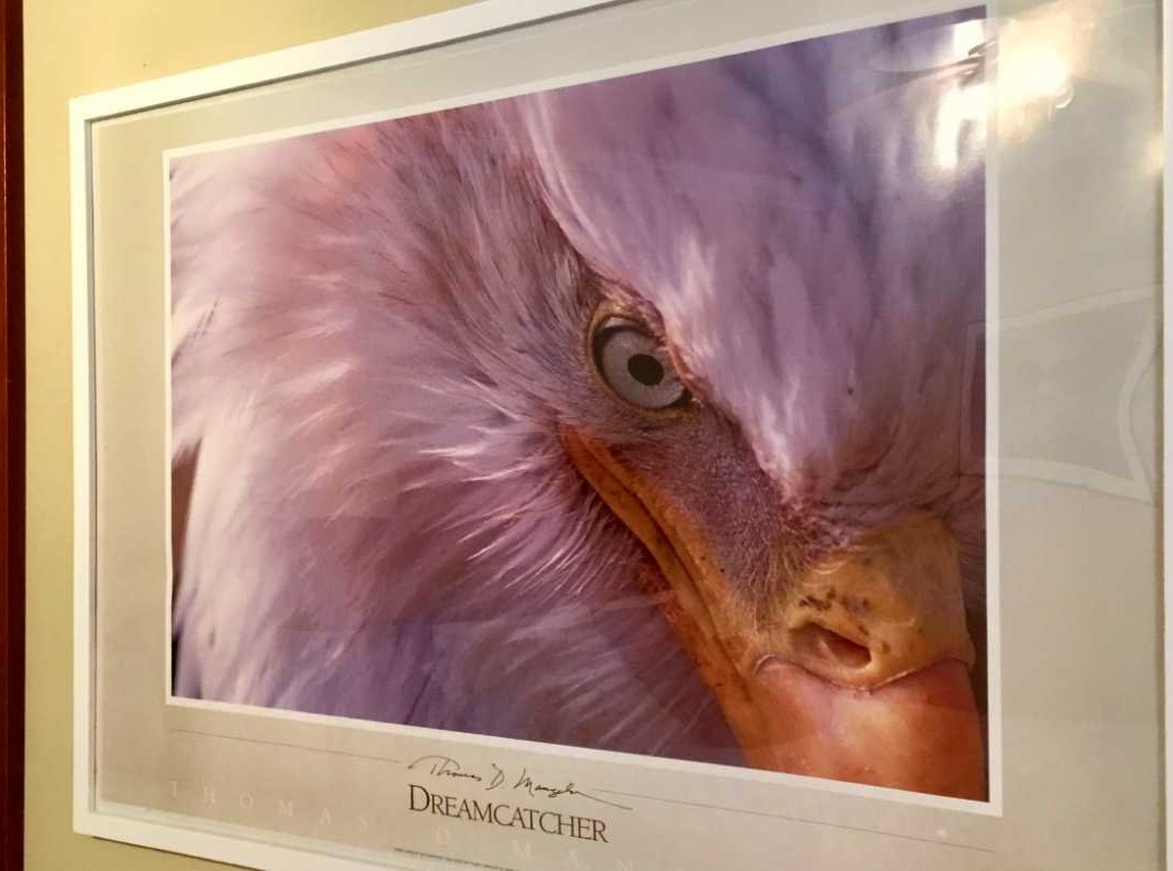 High Hopes Bed & Breakfast主图