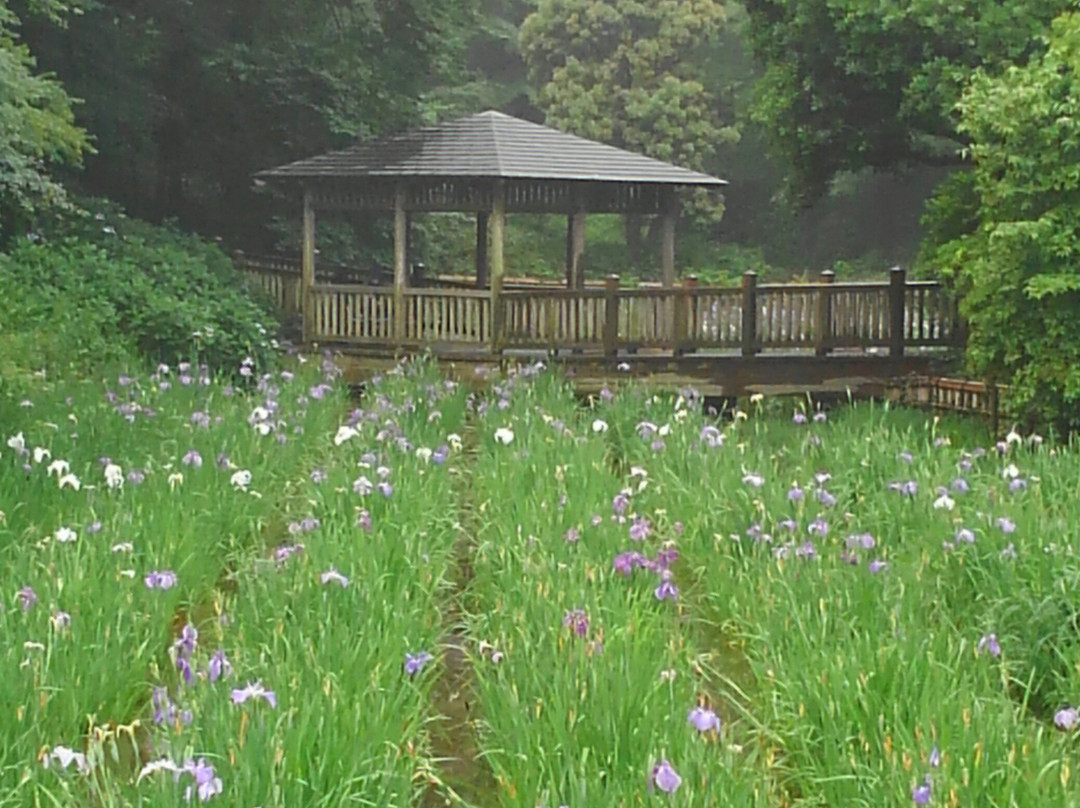 Ikuta Ryokuchi Park景点图片