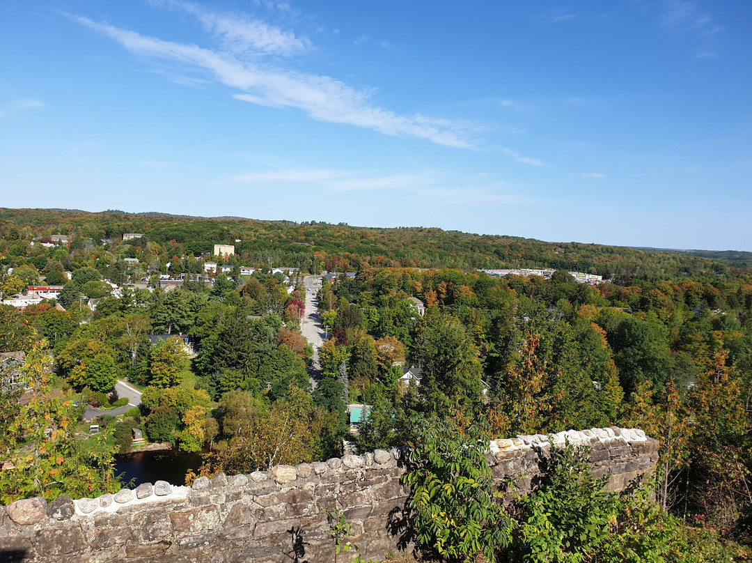 Lions Lookout-亨茨维尔必去景点