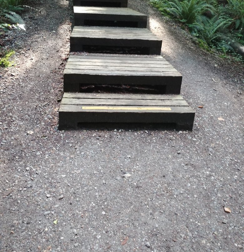 Lynn Headwaters Regional Park-北温哥华必去景点