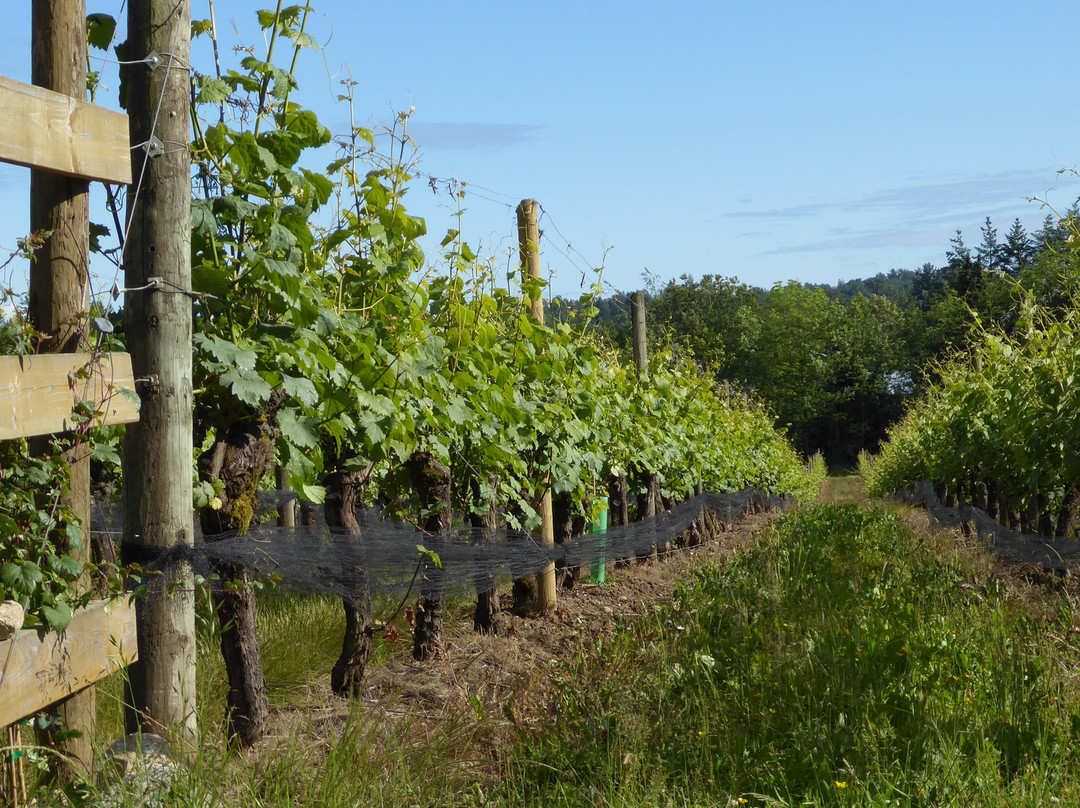 Chaberton Estate Winery-Langley必去景点