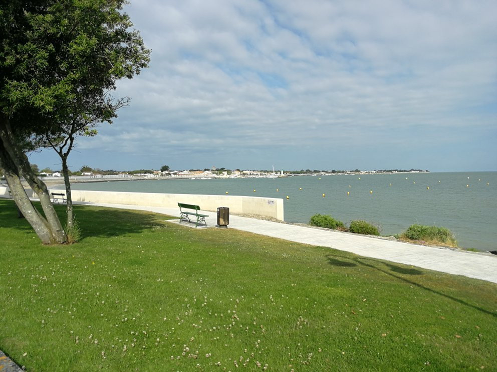 Plage de l'Arnerault景点图片