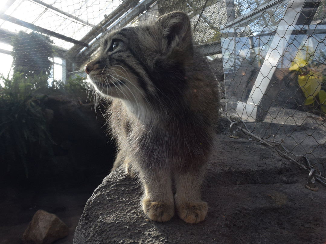 神戶動物王國-神户市必去景点