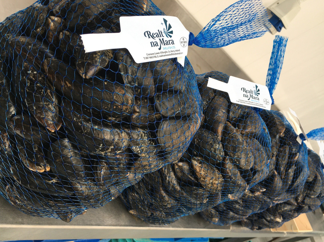 Realt na Mara Shellfish-Killorglin必去景点