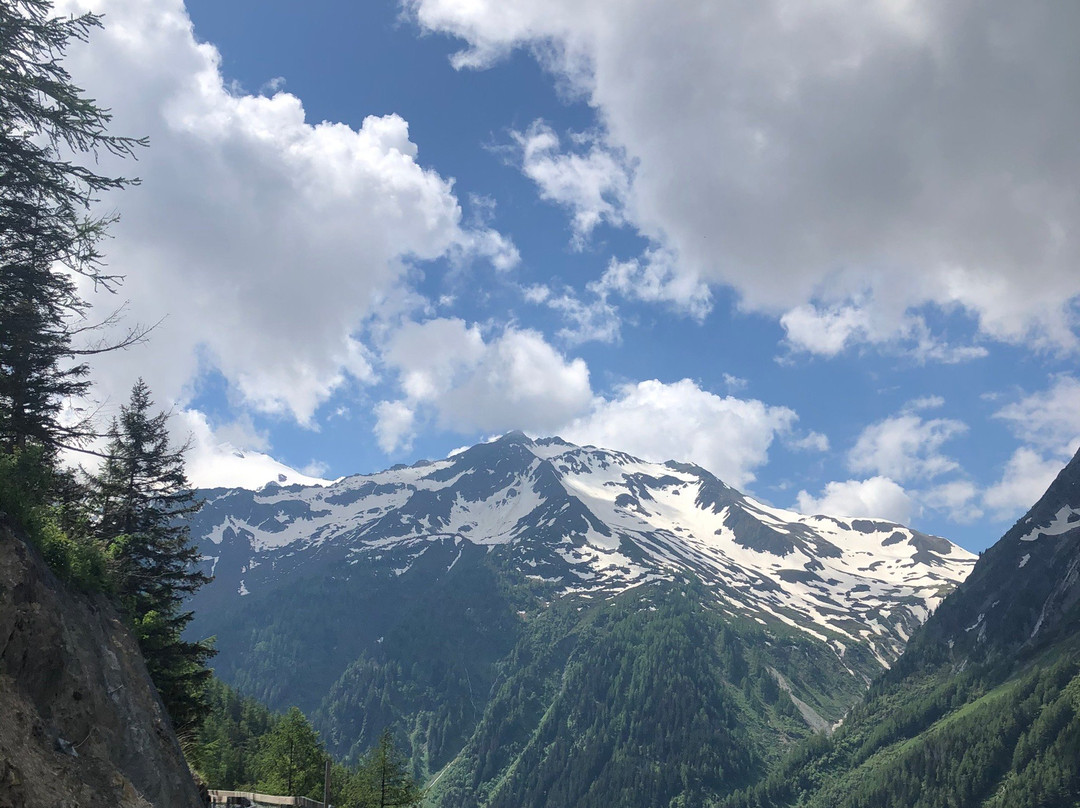Sentier du bisse du Glacier du Trient-Trient必去景点