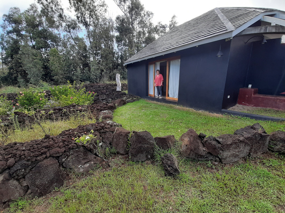 Altiplanico Rapa Nui主图