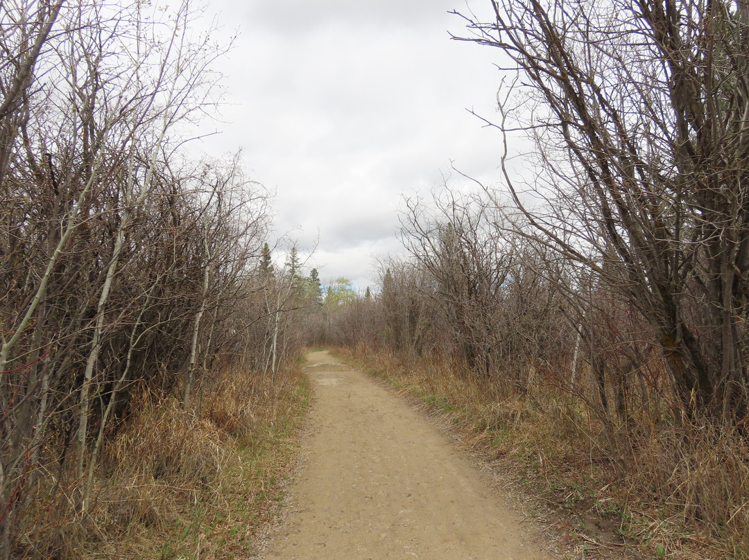 Weaselhead Flats-卡尔加里必去景点
