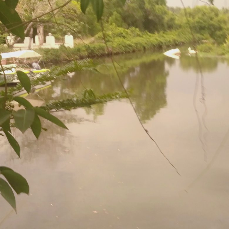 Sarovaram Biopark-科泽科德必去景点