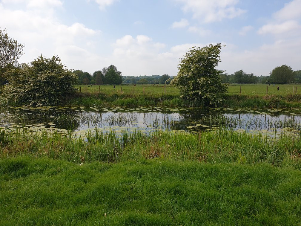 Sudbury Water Meadows景点图片