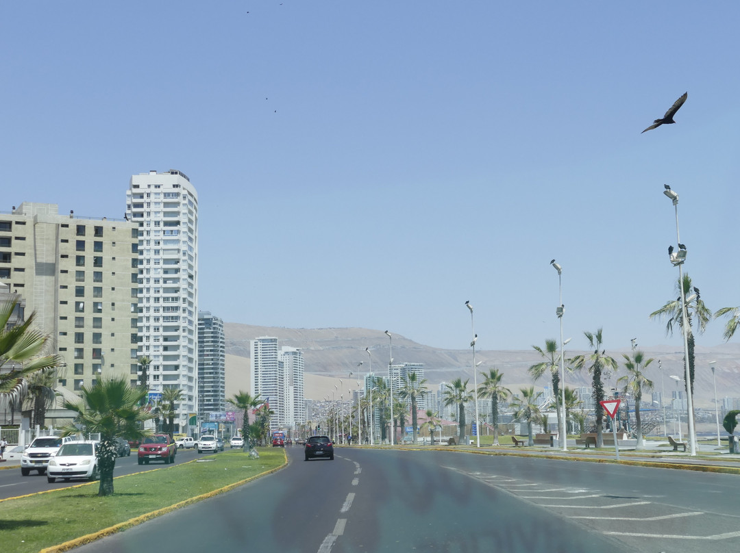 Paseo Peatonal Cavancha-伊基克必去景点