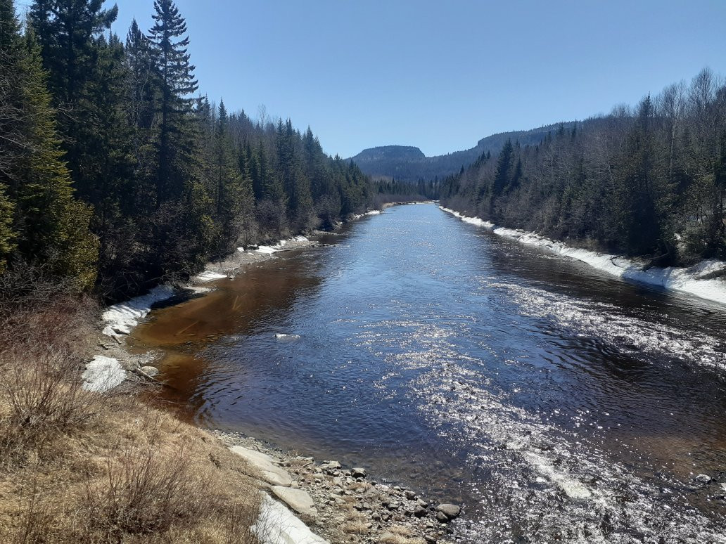 Black Sturgeon River Provincial Park