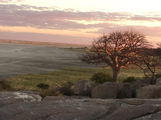 Makwela Transfrontier Safaris-比勒陀利亚必去景点