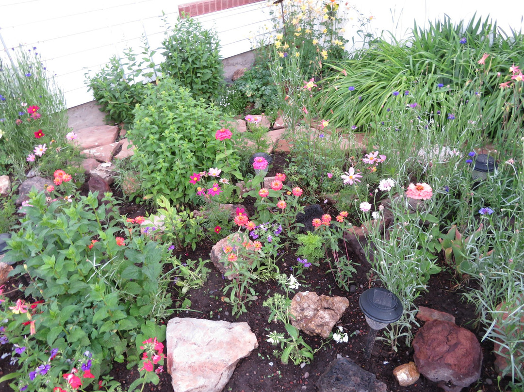 蓝派汽车旅馆主图