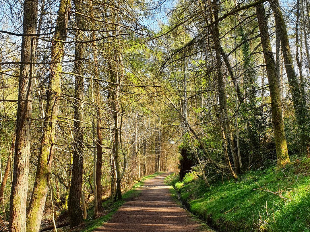 Gleniffer Braes Country Park景点图片