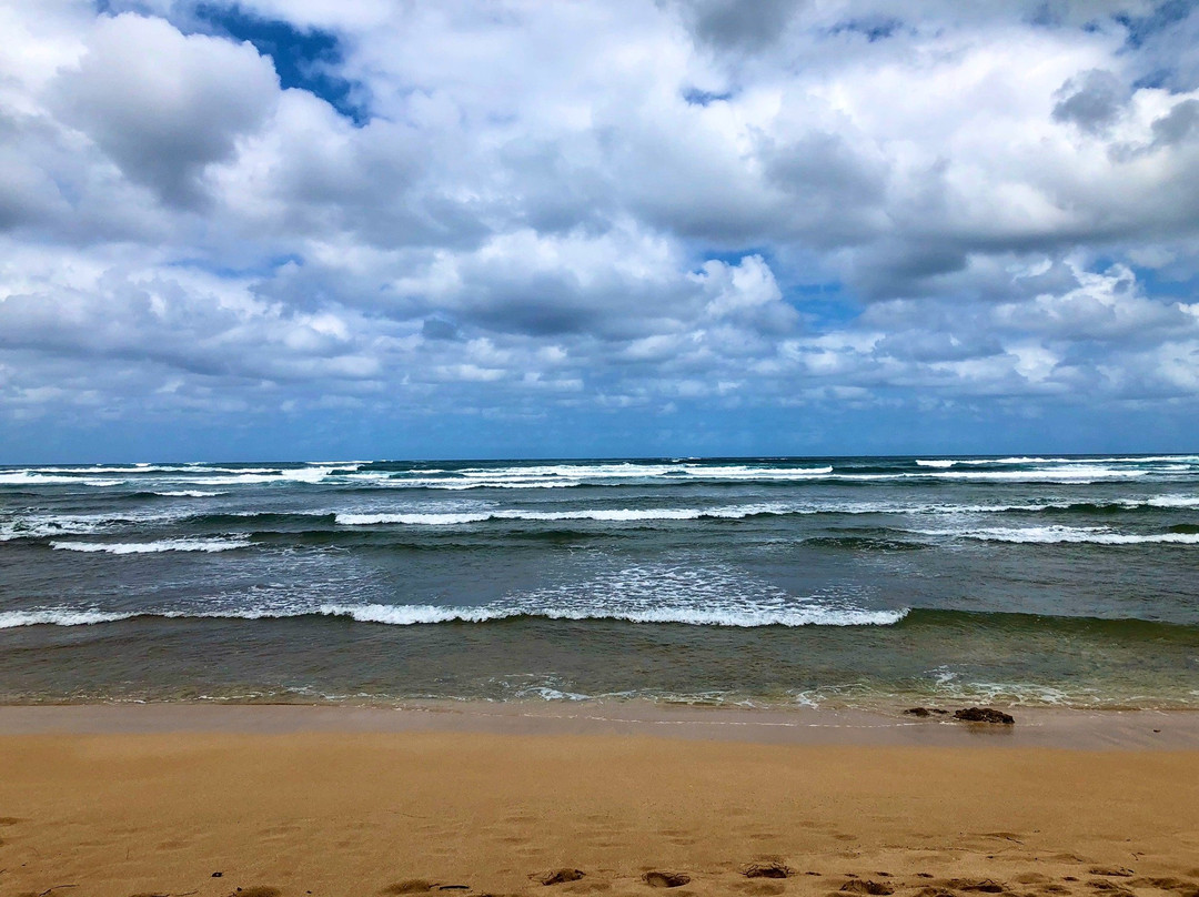 Kaiaka Bay Beach Park-哈雷瓦必去景点