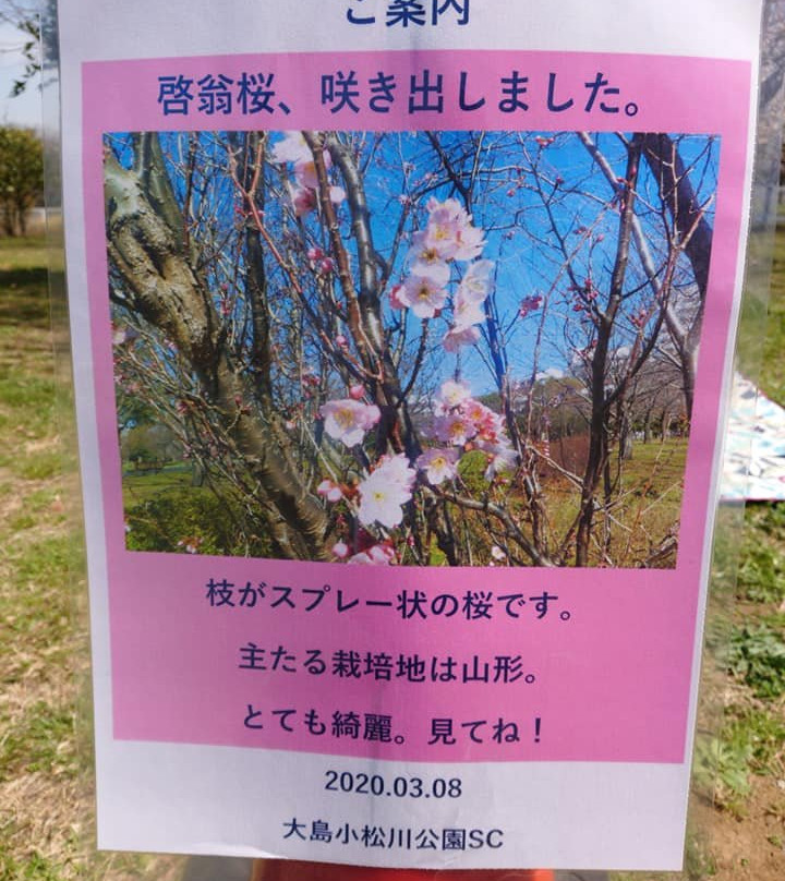 Ojima Komatsugawa Park-江东区必去景点