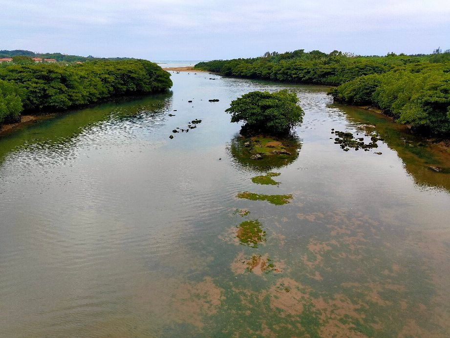 Miyara River Hirugi Grove景点图片