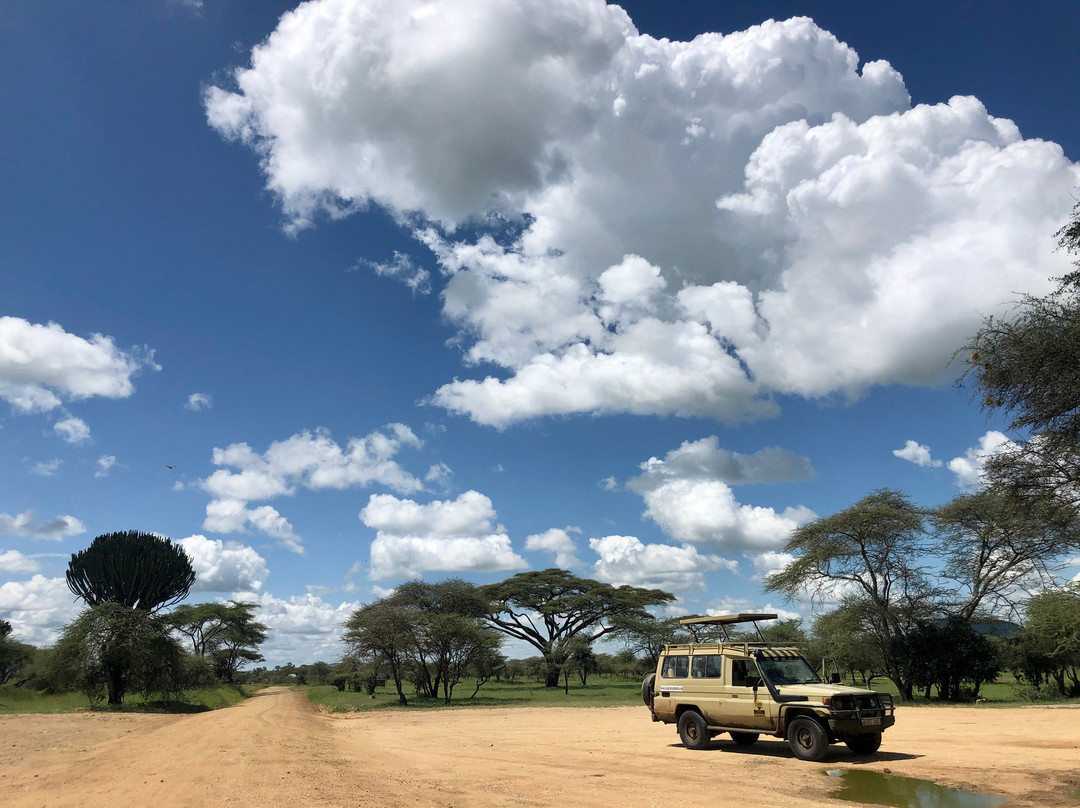 Kibosho Tours and Safaris-莫西必去景点