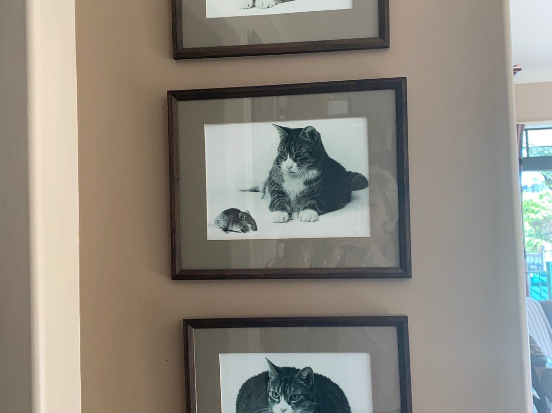 Two Tui Homestead and BnB主图