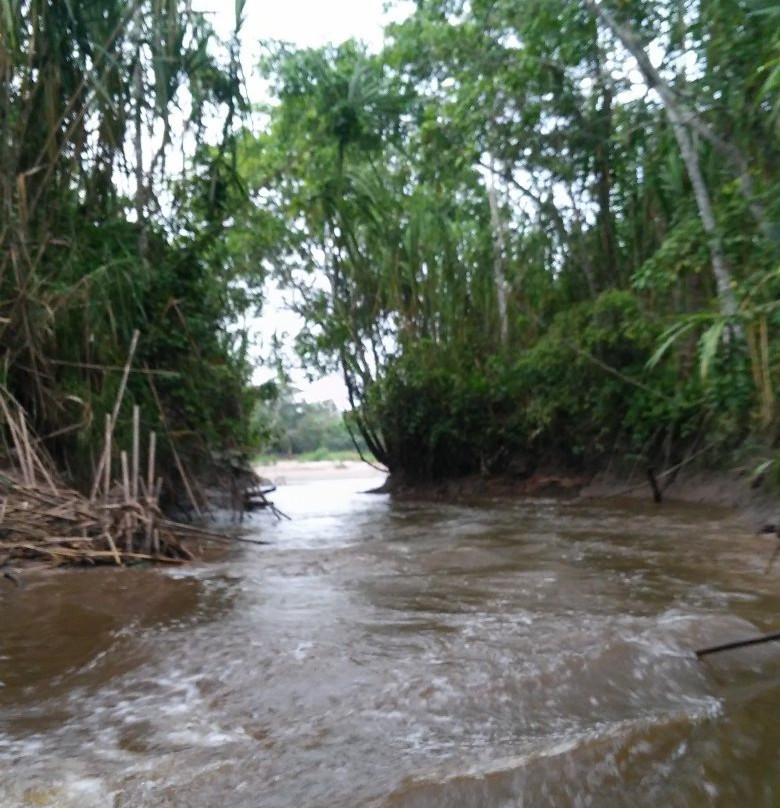 Tingana-Moyobamba必去景点