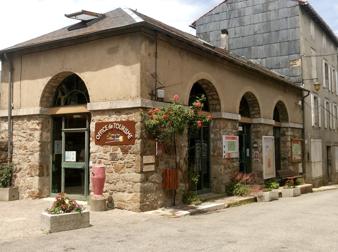 Office de Tourisme de La Salvetat-sur-Agout景点图片