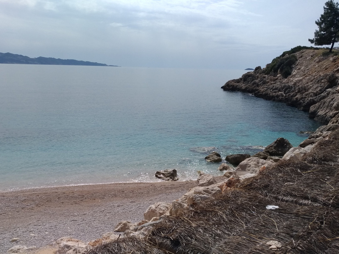 Seyrek Cakıl Plajı景点图片