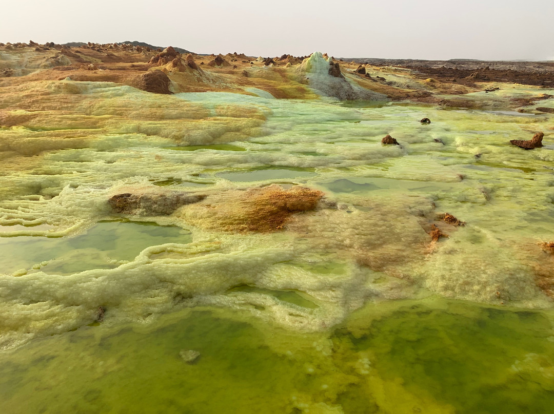 Trek Ethiopia Travel and Tours景点图片