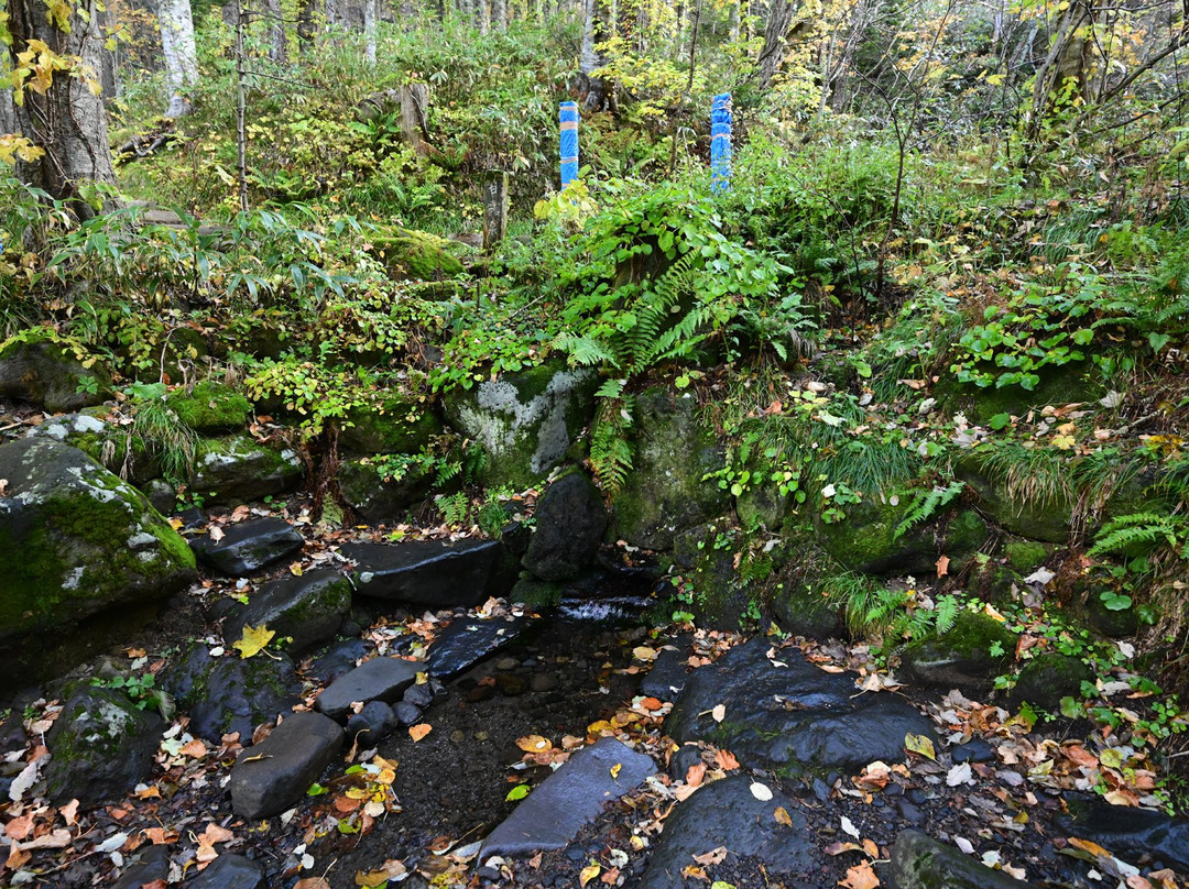 Kanro Spring Water-利尻富士町必去景点