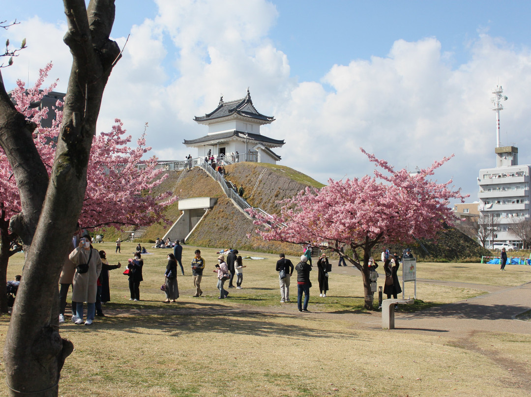 Utsunomiya Castle Ruins Park景点图片