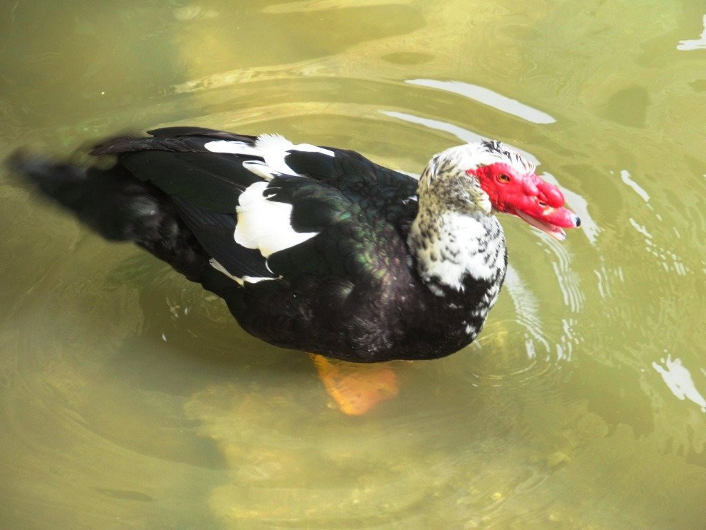 Iglesia del Santo Sepulcro-Estella必去景点