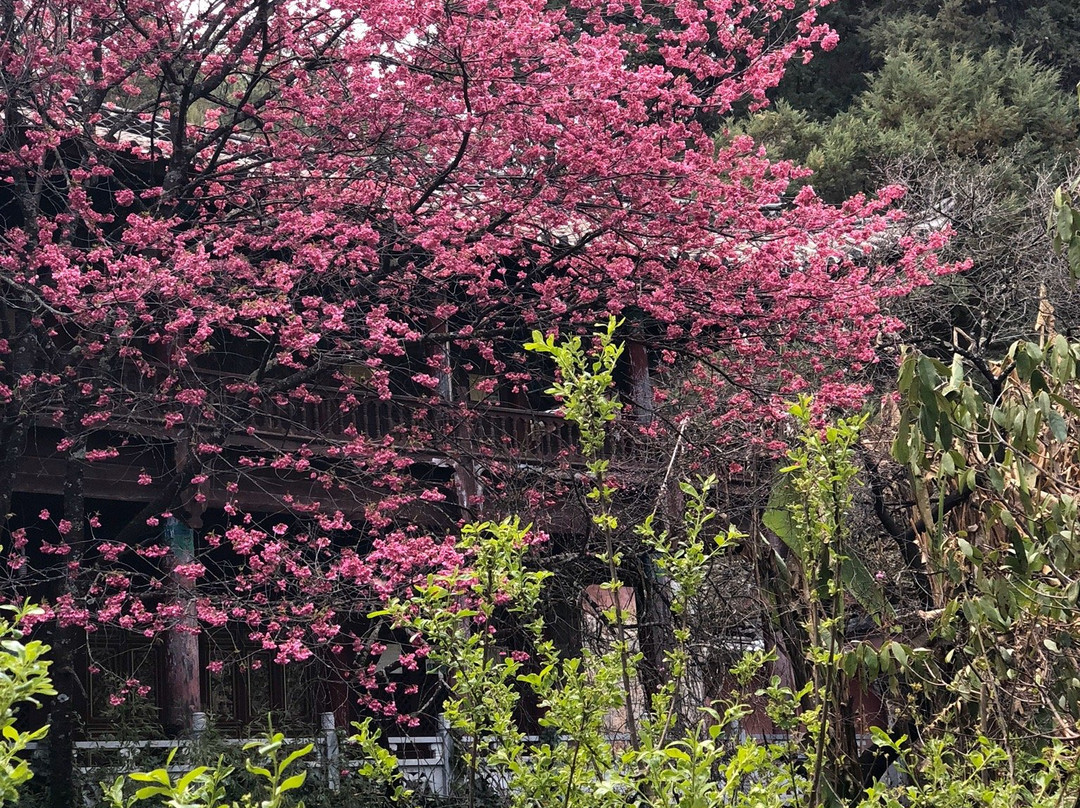 九鼎龙潭-丽江市必去景点
