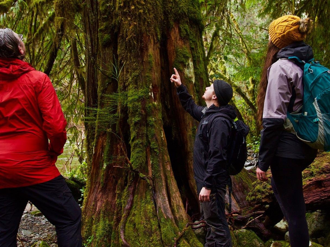Port Renfrew Adventure Company景点图片