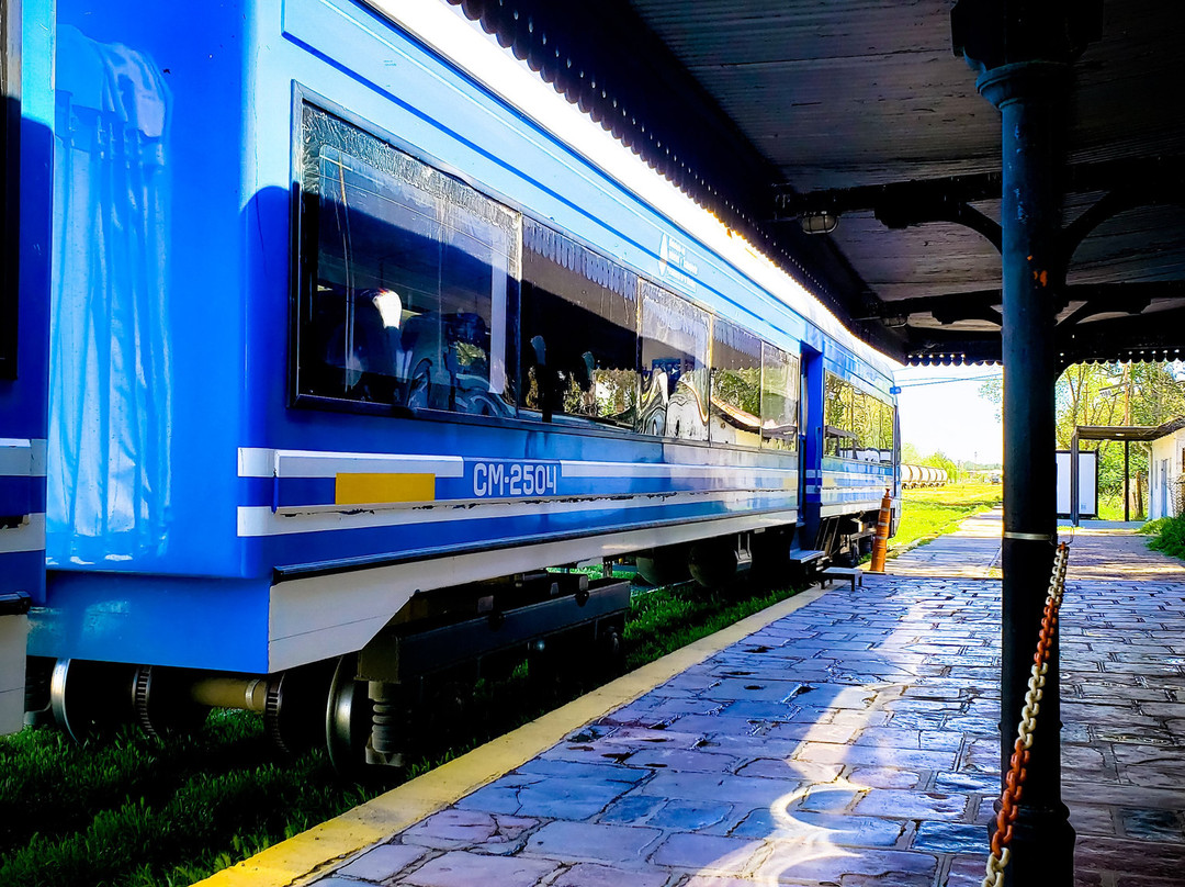 Tren del valle-内乌肯必去景点