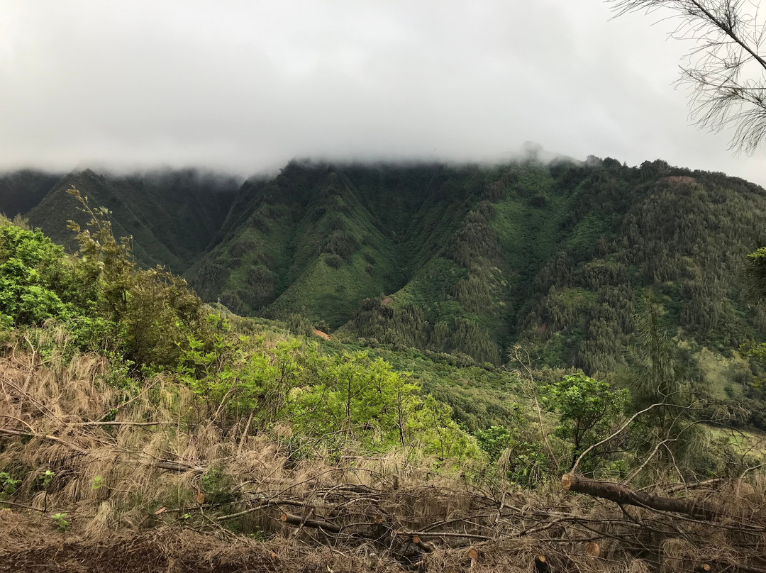 Flyin Hawaiian Zipline-怀露库必去景点