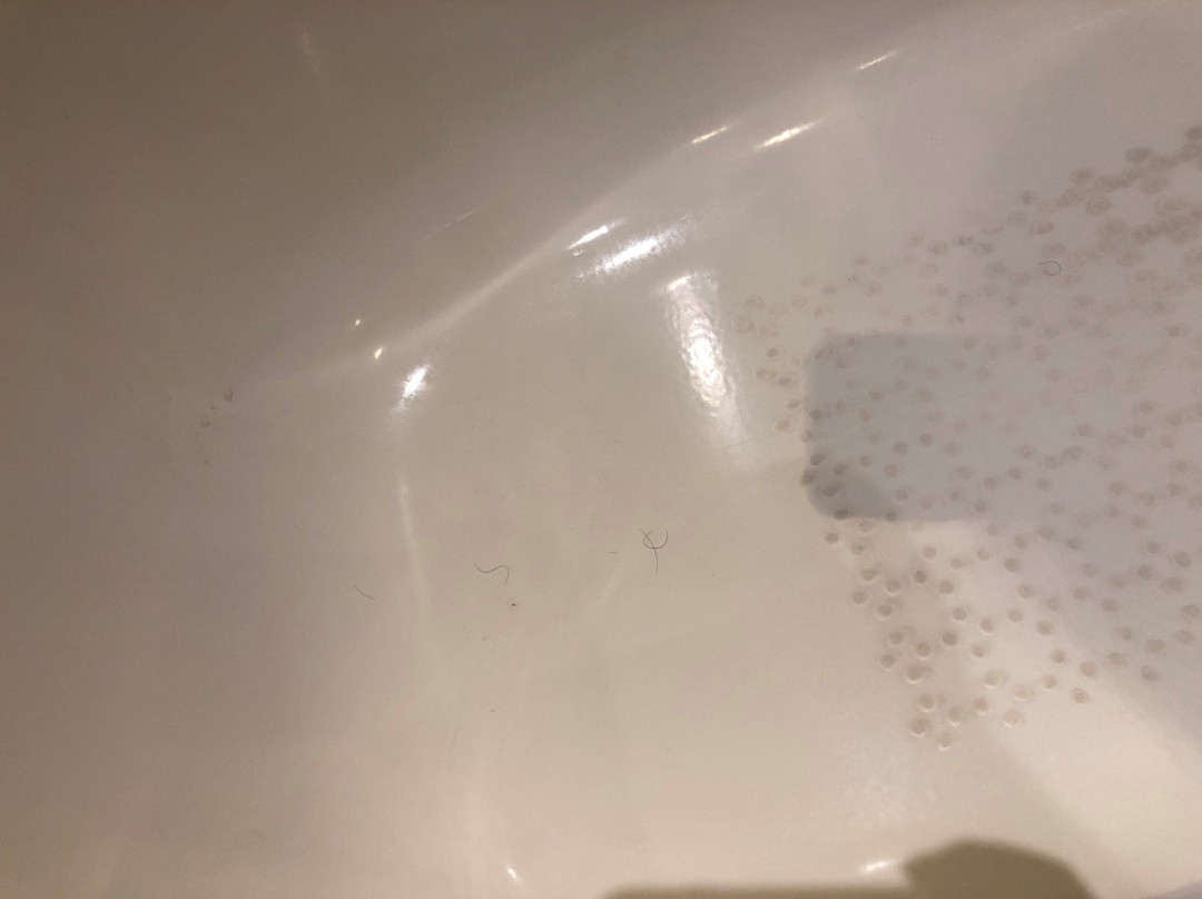 塞利希尔顿酒店主图