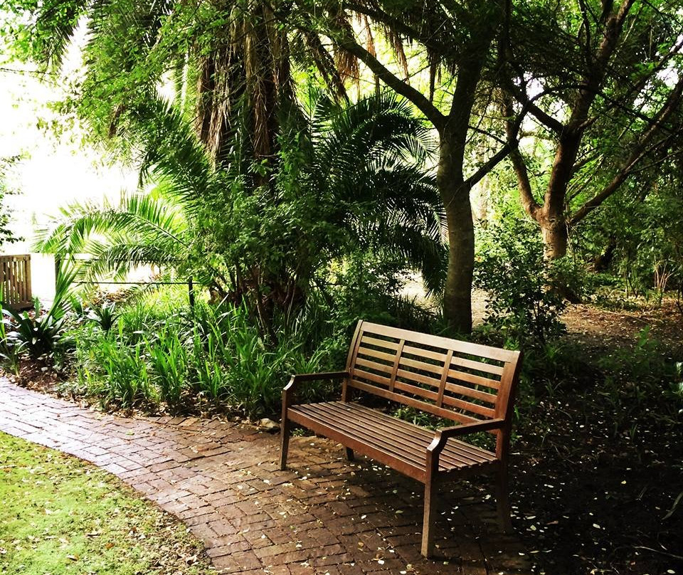 High Hopes Of Greyton主图