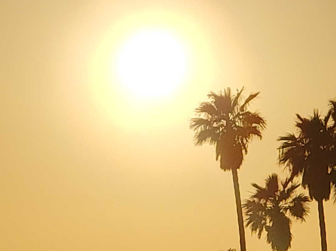 Best Western Plus Dana Point Inn-By-The-Sea主图