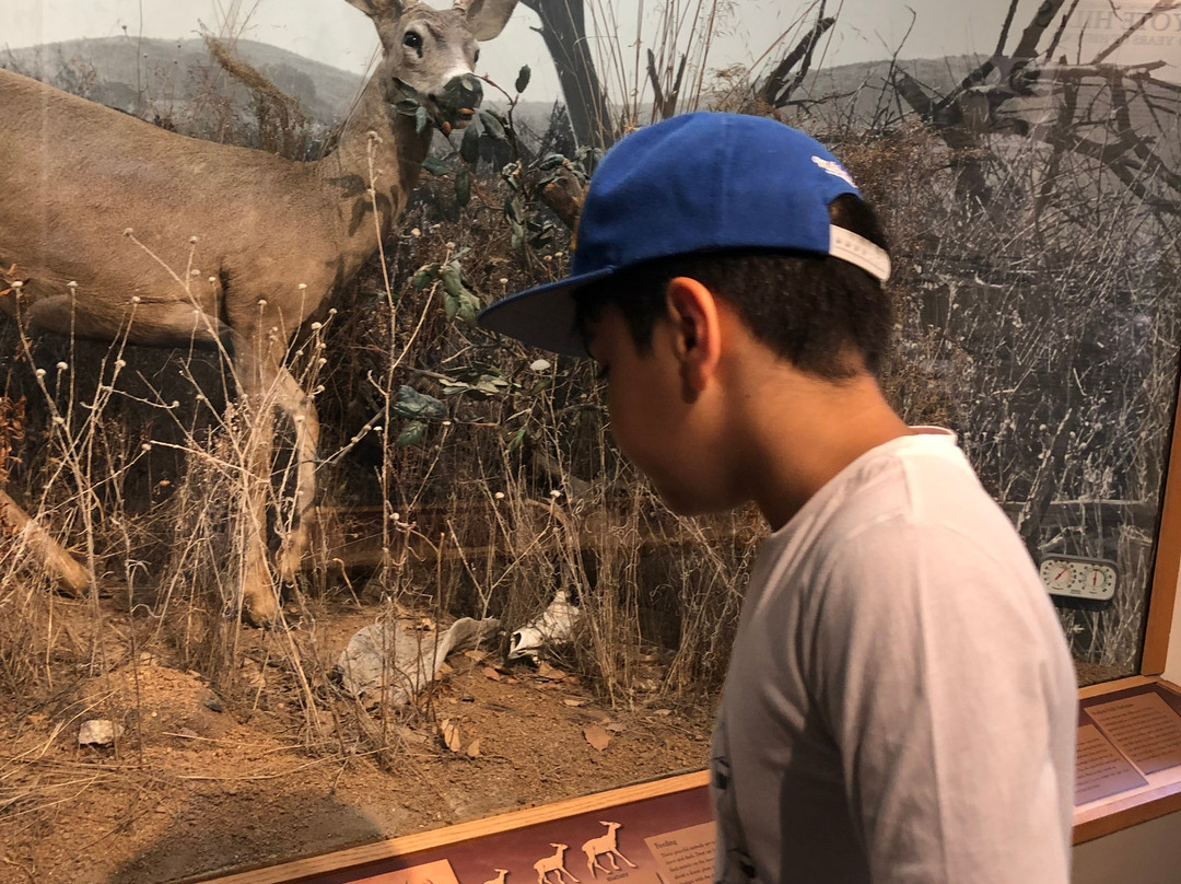 Coyote Hills Regional Park-费利蒙必去景点