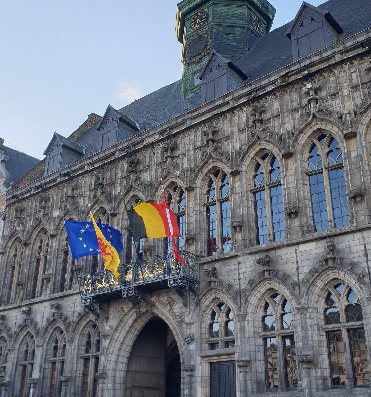 Hotel de ville景点图片