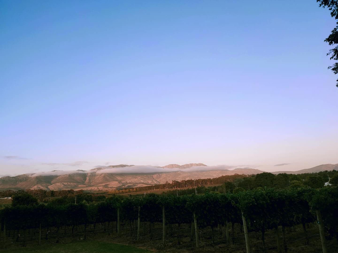 Belfield Farm Cottages主图