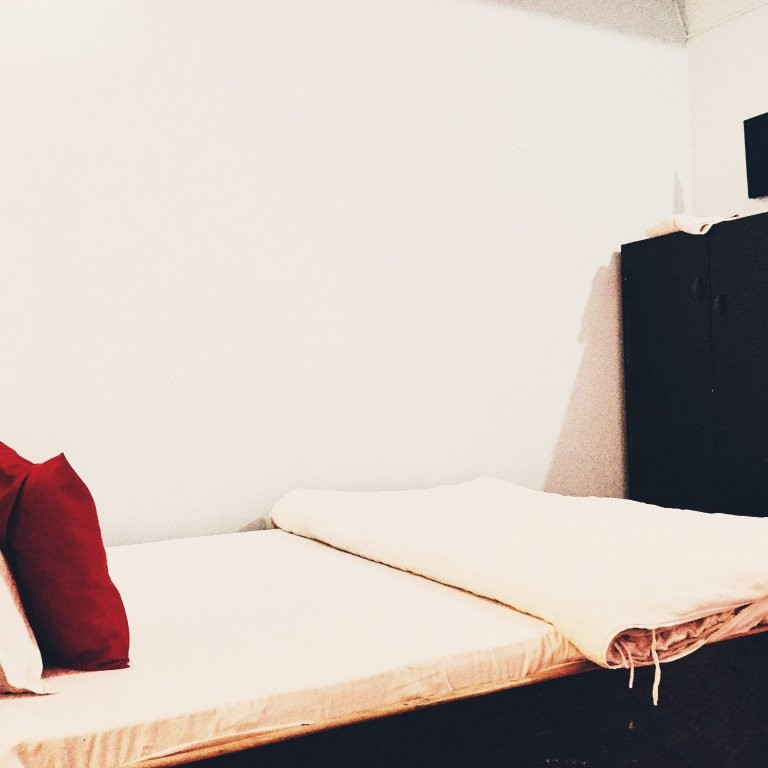 SPOT ON 521 Himalayan Regency Hotel主图