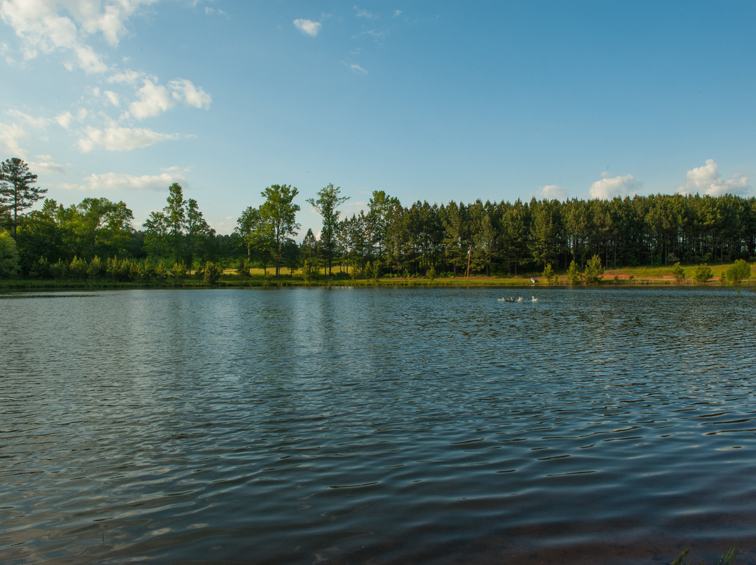 Greenville旅游攻略图片