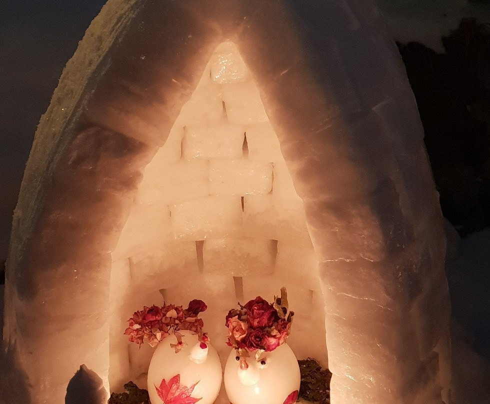 Otaru Snow Light Path-小樽市必去景点