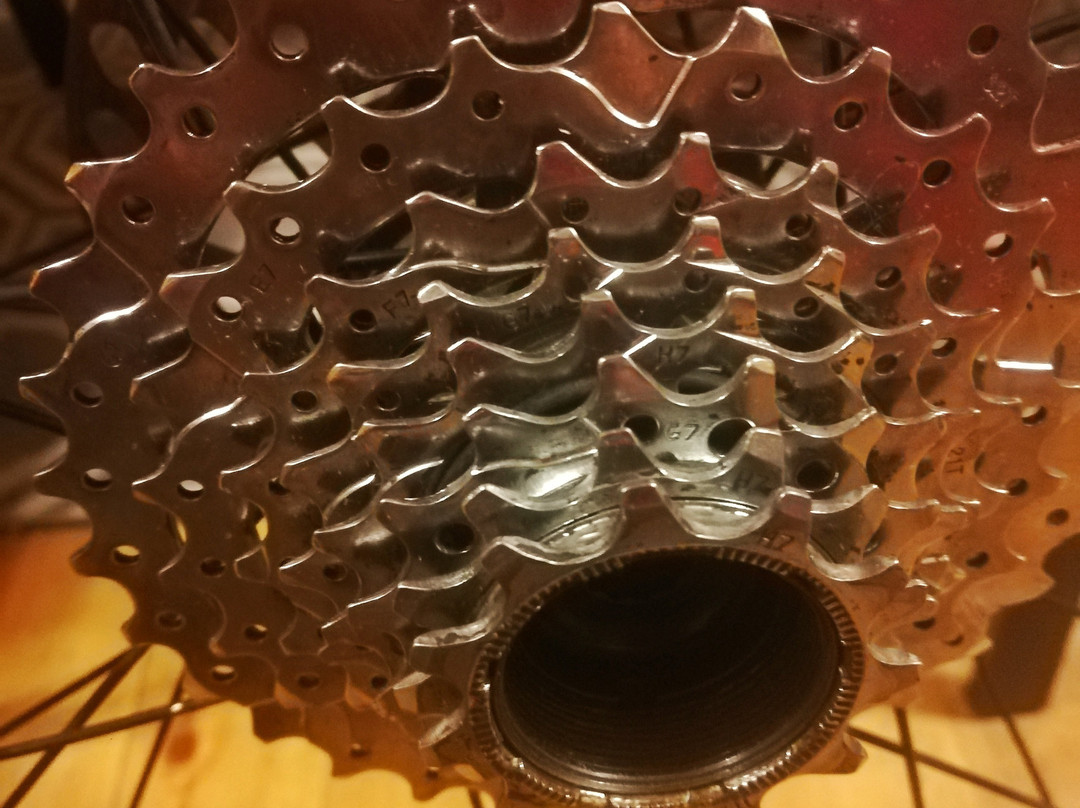 Trail Spirit Agency-Frutillar必去景点