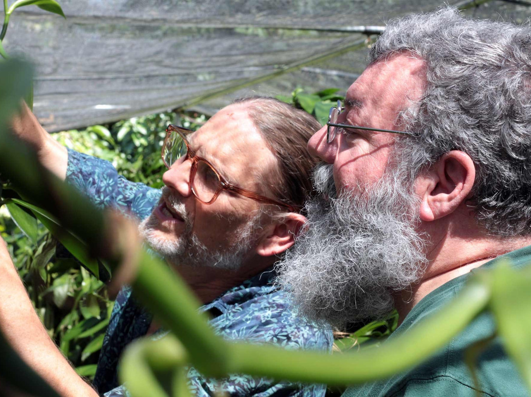 The Vanillery of Kauai-卡帕阿必去景点