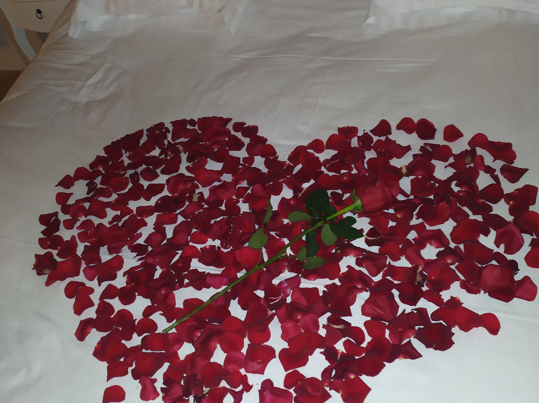 Le Petit Paradis 24主图