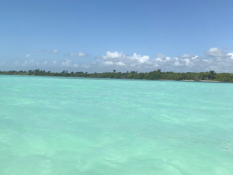 Secretoo-图伦必去景点