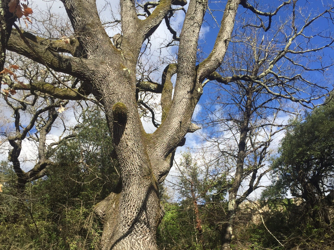 Eglise Saint-Michel-La Garde-Adhemar必去景点