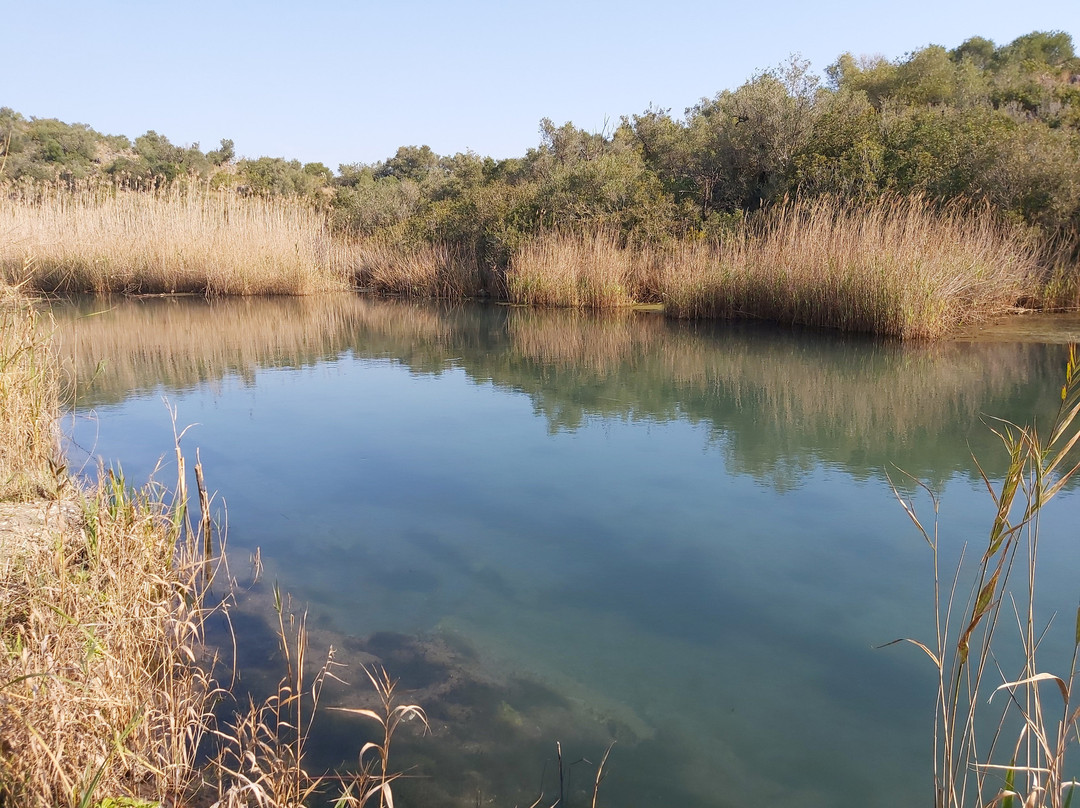 Parque Natural del Marjal de Pego-Oliva景点图片